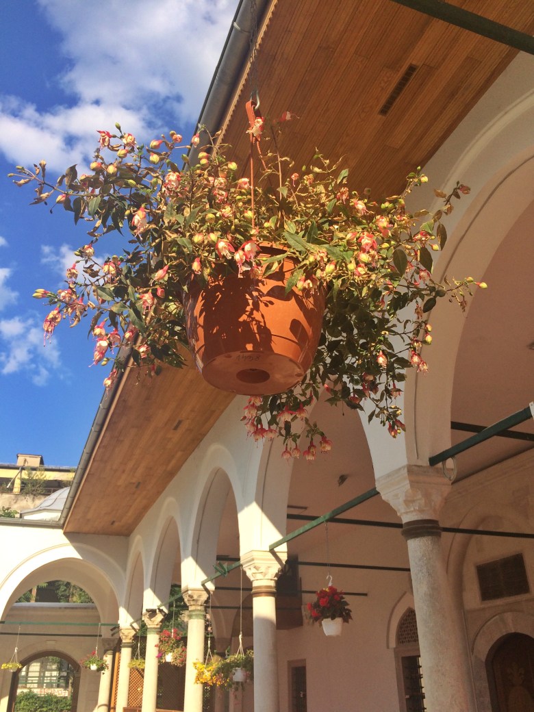 4 - Hünkar Camisi_ndeki Küpe Çiçeği